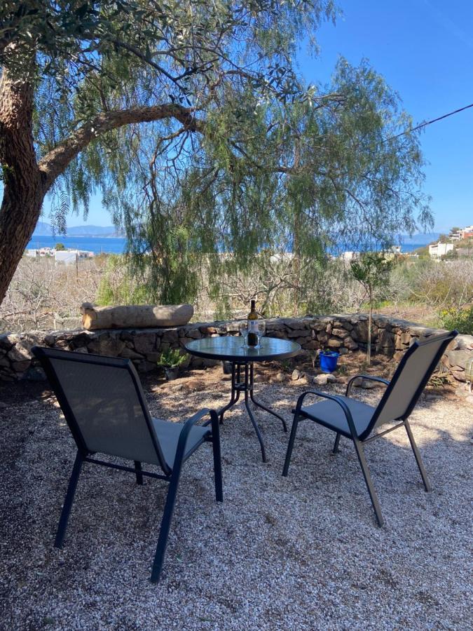 Pepper Tree Daire Aegina Dış mekan fotoğraf