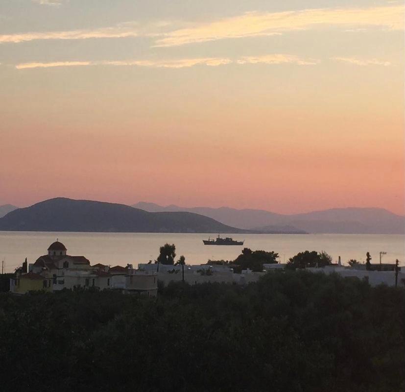 Pepper Tree Daire Aegina Dış mekan fotoğraf